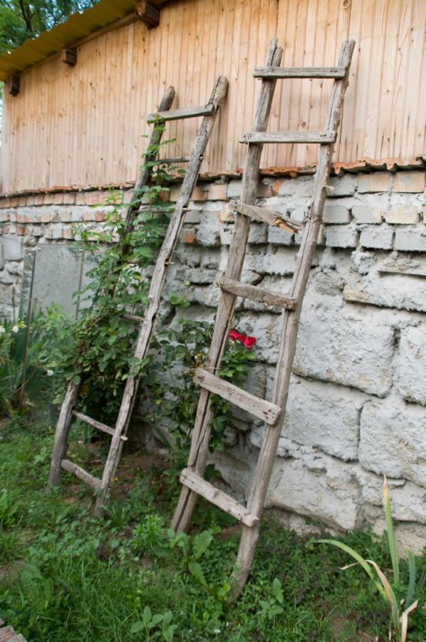 Apartamento Notas Tuecsoek Vendeghaz Agyagosszergény Exterior foto
