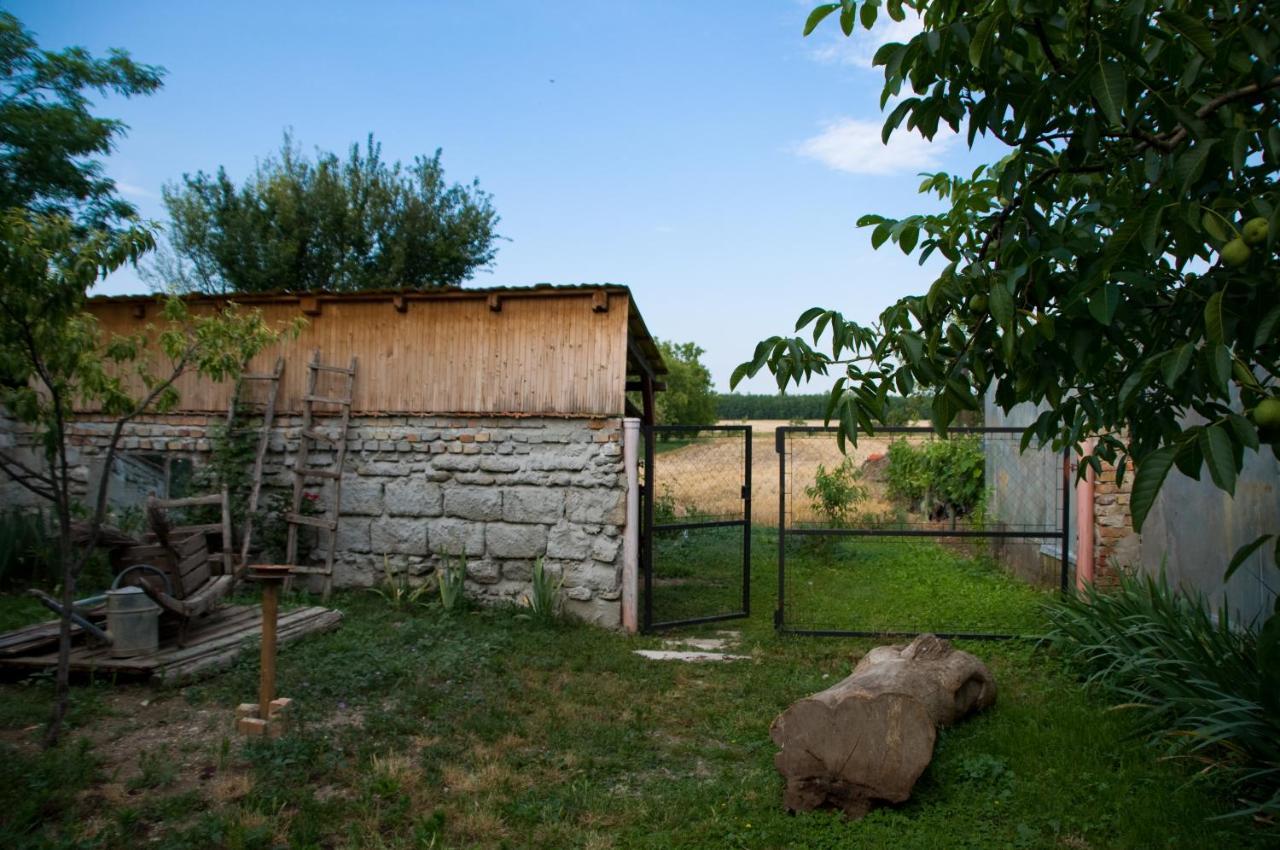 Apartamento Notas Tuecsoek Vendeghaz Agyagosszergény Exterior foto